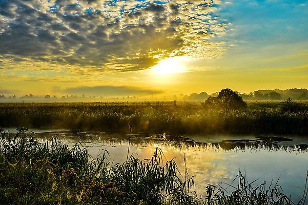 포토 JPG 해외이미지 나무 식물 구름 계절 여행 백그라운드 잎 자연 하늘 파노라마 갈대 풍경 사람없음 야외 목재 초록색 물 여름 파란색 빛 강 컬러풀 햇빛 반사 환경 맑음 봄 안개 광선 흰색 개울 숲 러시아 노려봄 생태학 해외202004 해외포토 자연요소 교육 유럽 컬러 재료 날씨 촬영기법 표정 태양 생태계 파일형식 이미지허브
