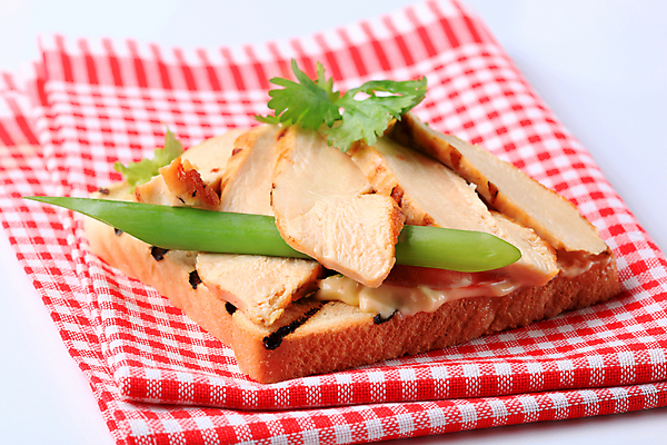 포토 JPG 해외이미지 스튜디오촬영 1 빵 조각 샌드위치 육류 요리 사람없음 치킨 그릴 상추 가슴 굽기 확인 냅킨 토스트 칠면조 점심식사 행주 해외202004 해외포토 음식 채소 식재료 조류 주방용품 실내 신체부위 식사 청소도구 구이 닭고기요리 파일형식 이미지허브