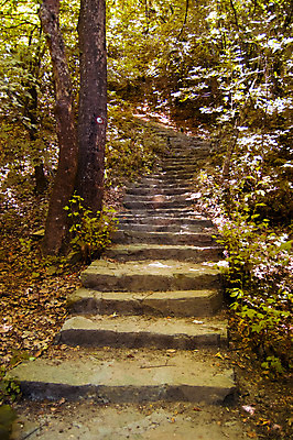 포토 JPG 해외이미지 공원 여행 자연 풍경 사람없음 야외 초록색 계단 환경 공백 폭포 바위 신선 숲 내추럴 마케도니아 생태학 카피스페이스 해외202004 해외포토 공공시설 교육 컬러 돌_바위 생태계 파일형식 남유럽 이미지허브