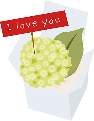 EPS 클립아트 식물 문자 영어 꽃잎 화초 줄기 꽃다발 프로포즈 잎 일러스트 화이트데이 발렌타인데이 선물 사랑 사람없음 선물상자 흰색 하트 애정표현 꽃상자 국내일러스트 모양 꽃 감정 컬러 데이이벤트 상자 표현 파일형식 벡터