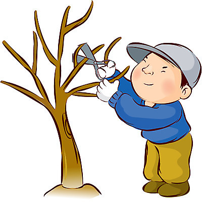 EPS 나무 캐릭터 계절 남자 농업 일러스트 한명 사람 20대 성인 봄 농부 절기 아저씨 농어촌캐릭터 가지치기 춘분 남자만 남자한명만 성인남자만 청년만 청년남자만 청년남자한명만 성인한명만 성인남자한명만 성인만 국내일러스트 일러캐릭터 식물 직업 1 산업 청년 원예 산업캐릭터 파일형식 벡터