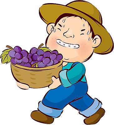 EPS 캐릭터 계절 여자 남자 농업 일러스트 포도 한명 사람 20대 성인 바구니 가을 농부 절기 밀짚모자 땀 아저씨 농어촌캐릭터 청년만 성인만 국내일러스트 일러캐릭터 직업 모자_잡화 1 산업 과일 청년 산업캐릭터 파일형식 벡터