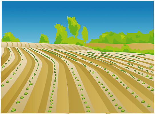 EPS 클립아트 나무 식물 산업 밭 농업 일러스트 사람없음 농경지 새싹 경작 농사 봄 농촌 농부 국내일러스트 직업 계절 농장 시골 파일형식 벡터