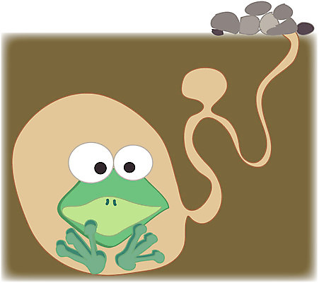 EPS 클립아트 동물 척추동물 사계절 계절 일러스트 자연 개구리 양서류 사람없음 봄 땅 청개구리 겨울잠 땅속 국내일러스트 잠 생태계 파일형식 벡터