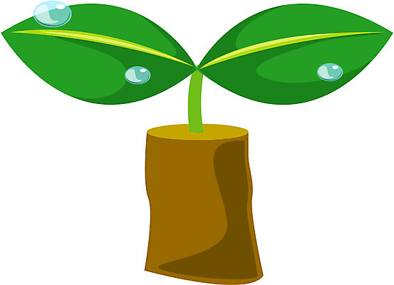 EPS 클립아트 나무 식물 줄기 잎 일러스트 나뭇잎 사람없음 새싹 희망 봄 관엽식물 국내일러스트 계절 감정 파일형식 벡터