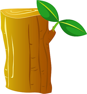 EPS 클립아트 나무 식물 줄기 잎 일러스트 나뭇잎 사람없음 새싹 희망 봄 관엽식물 국내일러스트 계절 감정 파일형식 벡터