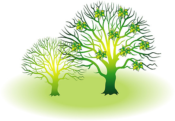 EPS 클립아트 나무 식물 사계절 계절 일러스트 자연 사람없음 봄 나뭇가지 두그루 국내일러스트 2 생태계 파일형식 벡터