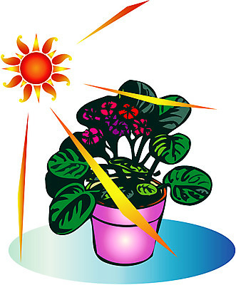EPS 자연요소 클립아트 식물 계절 꽃 화분 화초 일러스트 봄꽃 자연 사람없음 빛 햇빛 태양 꽃병 봄 꽃꽂이 국내일러스트 생태계 원예 파일형식 벡터