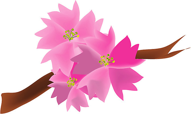 EPS 클립아트 식물 계절 꽃잎 꽃 화초 줄기 분홍색 잎 일러스트 사람없음 희망 봄 나뭇가지 국내일러스트 나무 감정 컬러 파일형식 벡터