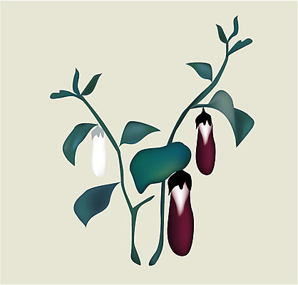 EPS 클립아트 식물 열매 예술 잎 채소 일러스트 가지 회화 미술 사람없음 작품 담채화 국내일러스트 문화예술 말하기 파일형식 벡터