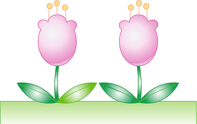 EPS 클립아트 식물 계절 꽃잎 꽃 화초 줄기 분홍색 잎 일러스트 봄꽃 자연 사람없음 초록색 봄 튤립 국내일러스트 컬러 생태계 파일형식 벡터