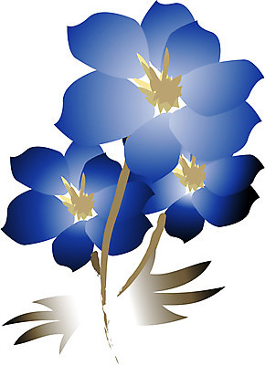 EPS 클립아트 식물 꽃잎 꽃 화초 줄기 잎 일러스트 사람없음 난초 동양란 양란 국내일러스트 파일형식 벡터