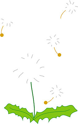 EPS 클립아트 식물 꽃잎 꽃 화초 줄기 잎 일러스트 사람없음 봄 민들레 민들레홀씨 꽃씨 국내일러스트 계절 파일형식 벡터