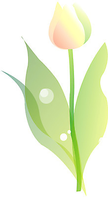 EPS 식물 계절 꽃 일러스트 봄꽃 자연 사람없음 봄 튤립 국내일러스트 생태계 파일형식 벡터