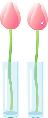 EPS 클립아트 식물 계절 꽃잎 꽃 화초 줄기 잎 일러스트 봄꽃 자연 사람없음 꽃병 봄 튤립 두송이 꽃꽂이 국내일러스트 2 생태계 원예 파일형식 벡터