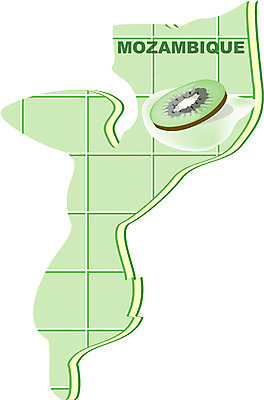 EPS 클립아트 해외 나라 지구 외국문화 지도 과일 일러스트 아프리카 키위 사람없음 세계 모잠비크 지명 국내일러스트 문화 파일형식 벡터