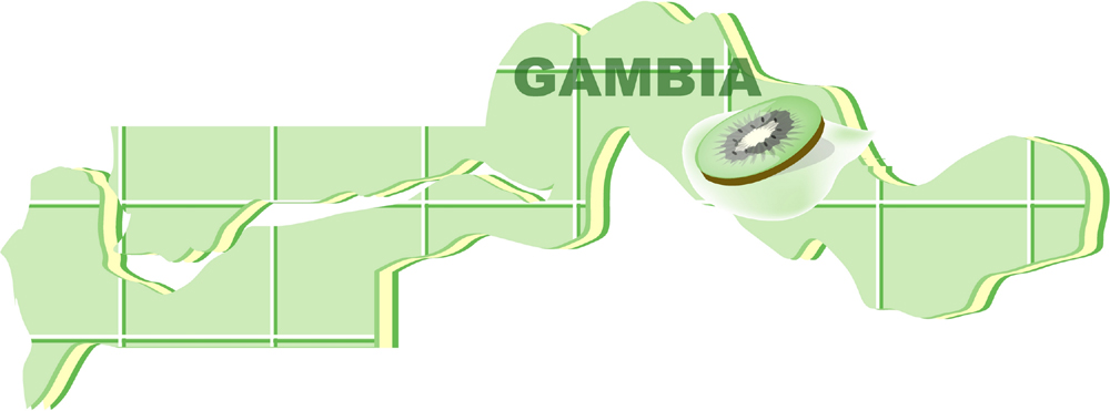 EPS 클립아트 해외 나라 지구 외국문화 지도 과일 일러스트 아프리카 키위 사람없음 세계 감비아 지명 국내일러스트 문화 파일형식 벡터