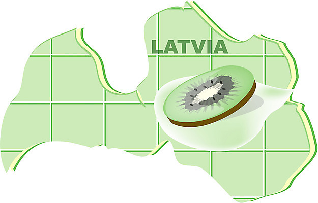 EPS 클립아트 해외 유럽 나라 지구 외국문화 지도 과일 일러스트 키위 사람없음 세계 라트비아 지명 국내일러스트 문화 북유럽 파일형식 벡터