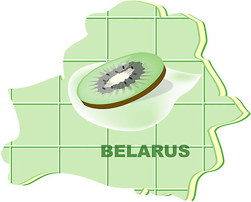 EPS 클립아트 해외 유럽 나라 지구 외국문화 지도 과일 일러스트 키위 사람없음 세계 벨로루시 지명 국내일러스트 문화 파일형식 벡터