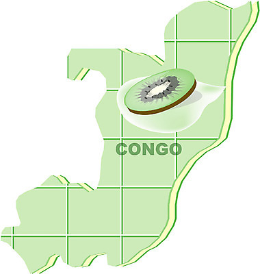 EPS 클립아트 해외 나라 지구 외국문화 지도 과일 일러스트 아프리카 키위 사람없음 세계 콩고 지명 국내일러스트 문화 파일형식 벡터