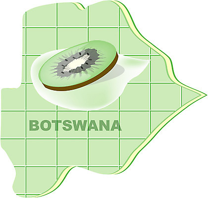 EPS 클립아트 해외 나라 지구 외국문화 지도 과일 일러스트 아프리카 키위 사람없음 세계 보츠와나 지명 국내일러스트 문화 파일형식 벡터