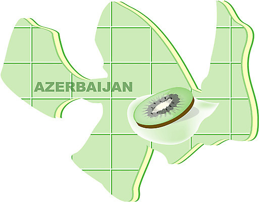 EPS 클립아트 해외 유럽 나라 지구 외국문화 지도 과일 일러스트 키위 사람없음 세계 아제르바이잔 지명 국내일러스트 문화 파일형식 벡터