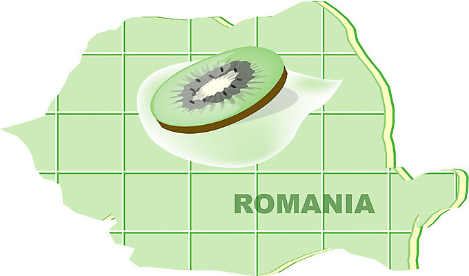 EPS 클립아트 해외 유럽 나라 지구 외국문화 지도 과일 일러스트 키위 사람없음 세계 루마니아 지명 국내일러스트 문화 파일형식 벡터