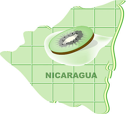 EPS 클립아트 해외 나라 지구 외국문화 지도 과일 일러스트 키위 아메리카 사람없음 세계 니카라과 지명 국내일러스트 문화 남아메리카 대륙 파일형식 벡터