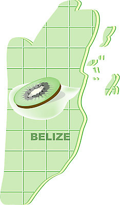 EPS 클립아트 해외 나라 지구 외국문화 지도 과일 일러스트 키위 아메리카 사람없음 세계 중앙아메리카 벨리즈 지명 국내일러스트 문화 대륙 파일형식 벡터