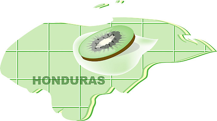 EPS 클립아트 해외 나라 지구 외국문화 지도 과일 일러스트 키위 아메리카 사람없음 세계 중앙아메리카 온두라스 지명 국내일러스트 문화 대륙 파일형식 벡터