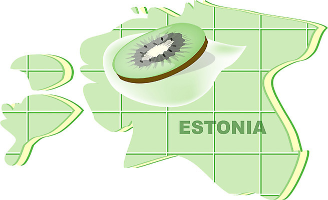 EPS 클립아트 해외 유럽 나라 지구 외국문화 지도 과일 일러스트 키위 사람없음 세계 에스토니아 지명 국내일러스트 문화 파일형식 벡터