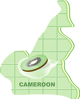 EPS 클립아트 해외 나라 지구 외국문화 지도 과일 일러스트 아프리카 키위 사람없음 세계 카메룬 지명 국내일러스트 문화 파일형식 벡터