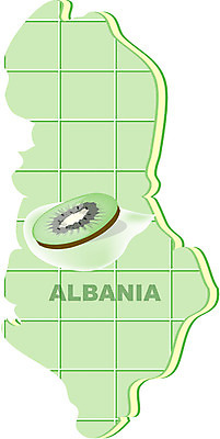 EPS 클립아트 해외 유럽 나라 지구 외국문화 지도 과일 일러스트 키위 사람없음 세계 알바니아 지명 국내일러스트 문화 파일형식 벡터 남유럽