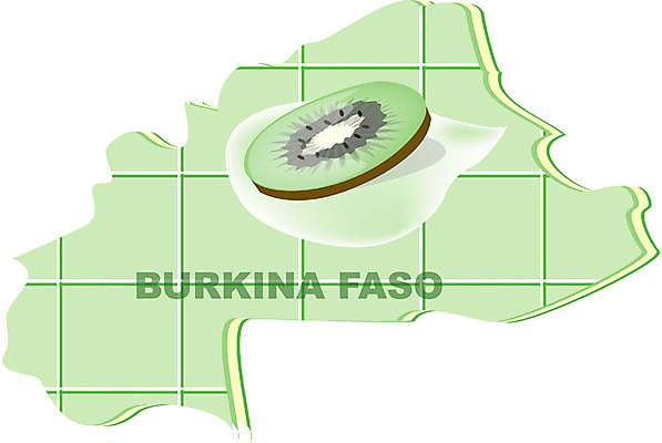 EPS 클립아트 해외 나라 지구 외국문화 지도 과일 일러스트 아프리카 키위 사람없음 세계 부르키나파소 지명 국내일러스트 문화 파일형식 벡터