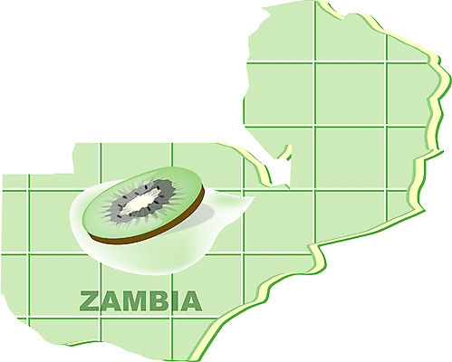 EPS 클립아트 해외 나라 지구 외국문화 지도 과일 일러스트 아프리카 키위 사람없음 세계 잠비아 지명 국내일러스트 문화 파일형식 벡터