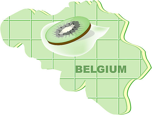EPS 클립아트 해외 유럽 나라 지구 외국문화 지도 과일 일러스트 키위 사람없음 세계 벨기에 지명 국내일러스트 문화 서유럽 파일형식 벡터