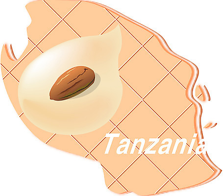 EPS 클립아트 해외 나라 지구 외국문화 지도 일러스트 아프리카 사람없음 세계 쿠키 과자 아몬드 탄자니아 지명 국내일러스트 문화 디저트 견과류 파일형식 벡터