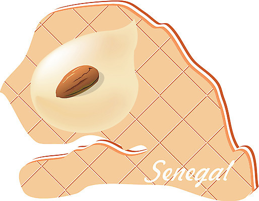 EPS 클립아트 해외 나라 지구 외국문화 지도 일러스트 아프리카 사람없음 세계 쿠키 과자 아몬드 세네갈 지명 국내일러스트 문화 디저트 견과류 파일형식 벡터