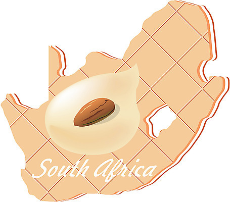 EPS 클립아트 해외 나라 지구 외국문화 지도 일러스트 아프리카 사람없음 세계 쿠키 과자 아몬드 남아프리카공화국 지명 국내일러스트 문화 디저트 견과류 파일형식 벡터