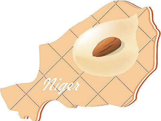 EPS 클립아트 해외 나라 지구 외국문화 지도 일러스트 아프리카 사람없음 세계 쿠키 과자 아몬드 니제르 지명 국내일러스트 문화 디저트 견과류 파일형식 벡터