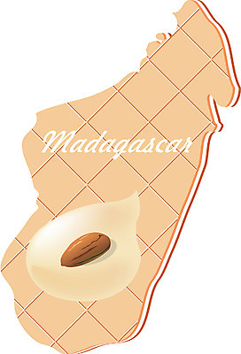 EPS 클립아트 해외 나라 지구 외국문화 지도 일러스트 아프리카 사람없음 세계 쿠키 과자 아몬드 마다가스카르 지명 국내일러스트 문화 디저트 견과류 파일형식 벡터