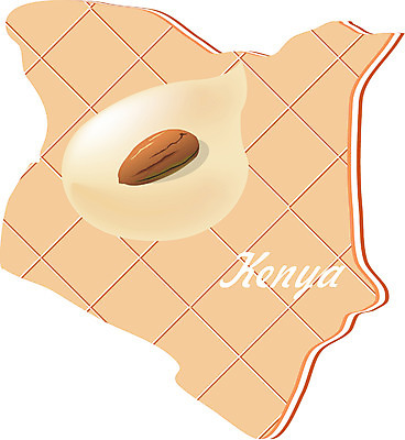 EPS 클립아트 해외 나라 지구 외국문화 지도 일러스트 아프리카 사람없음 세계 쿠키 과자 아몬드 케냐 지명 국내일러스트 문화 디저트 견과류 파일형식 벡터