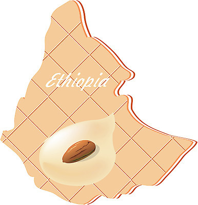 EPS 클립아트 해외 나라 지구 외국문화 지도 일러스트 아프리카 사람없음 세계 쿠키 과자 아몬드 에디오피아 에티오피아 지명 국내일러스트 문화 디저트 견과류 파일형식 벡터