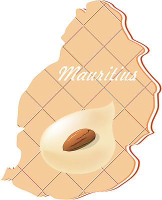 EPS 클립아트 해외 나라 지구 외국문화 지도 일러스트 아프리카 사람없음 세계 쿠키 과자 아몬드 모리셔스 지명 국내일러스트 문화 디저트 견과류 파일형식 벡터