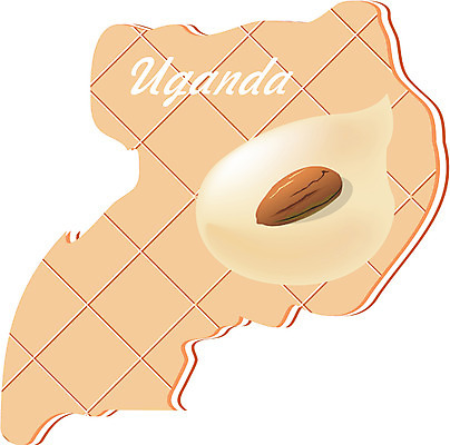 EPS 클립아트 해외 나라 지구 외국문화 지도 일러스트 아프리카 사람없음 세계 쿠키 과자 아몬드 우간다 지명 국내일러스트 문화 디저트 견과류 파일형식 벡터