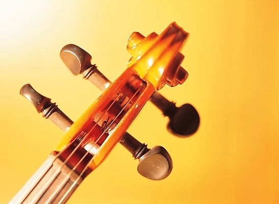 포토 JPG 스튜디오촬영 악기 음악 현악기 실내 근접촬영 사람없음 바이올린 오브젝트 조율 국내포토 뷰포인트 문화예술 내부 파일형식