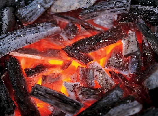 포토 JPG 자연요소 자연현상 불 근접촬영 사람없음 야외 하이앵글 숯 숯불 국내포토 뷰포인트 자연 파일형식