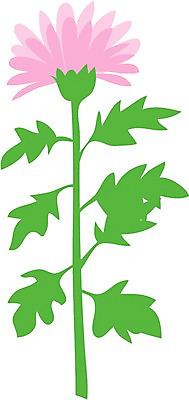 EPS 클립아트 식물 꽃 일러스트 자연 국화 가을꽃 사람없음 소국 대국 들국화 국내일러스트 생태계 파일형식 벡터 가을_계절