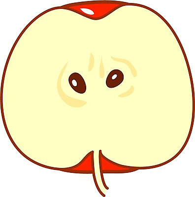 EPS 클립아트 식물 과일 일러스트 단면 사람없음 농작물 성장 사과 성장과정 사과데이 애플데이 국내일러스트 농업 데이이벤트 과정 파일형식 벡터