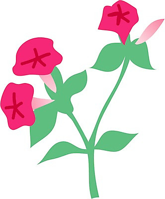 EPS 클립아트 식물 꽃 일러스트 여름꽃 자연 사람없음 나팔꽃 분꽃 국내일러스트 생태계 파일형식 벡터 여름_계절